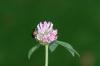 <img100*0:stuff/aj/169023/1254156659.jpg>