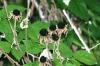<img100*0:stuff/aj/169023/1254156776.jpg>