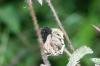 <img100*0:stuff/aj/169023/1254156812.jpg>