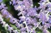 <img100*0:stuff/aj/169023/1254157436.jpg>
