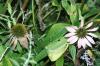 <img100*0:stuff/aj/169023/1254157519.jpg>