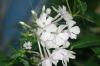 <img100*0:stuff/aj/169023/1254157806.jpg>