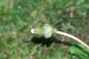 <img100*0:stuff/aj/169023/1254157934.jpg>