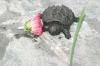 <img100*0:stuff/aj/169023/1254753087.jpg>