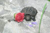<img200*0:stuff/aj/169023/1254753123.jpg>