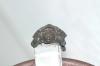 <img100*0:stuff/aj/169023/1254753348.jpg>