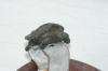<img100*0:stuff/aj/169023/1254753365.jpg>