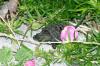 <img100*0:stuff/aj/169023/1254753414.jpg>