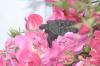 <img100*0:stuff/aj/169023/1254753832.jpg>