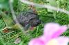 <img100*0:stuff/aj/169023/1254754136.jpg>
