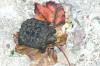 <img100*0:stuff/aj/169023/1254754870.jpg>