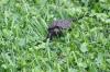 <img100*0:stuff/aj/169023/1254755340.jpg>
