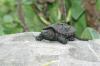 <img100*0:stuff/aj/169023/1254755536.jpg>