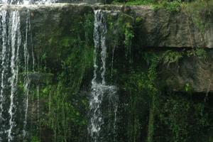 <img300*0:stuff/aj/169023/1254765185.jpg>