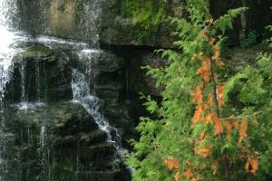 <img300*0:stuff/aj/169023/1254765422.jpg>