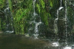 <img300*0:stuff/aj/169023/1254765663.jpg>