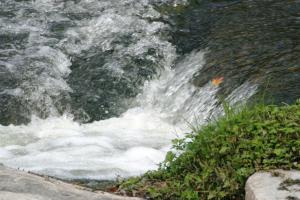 <img300*0:stuff/aj/169023/1254765779.jpg>