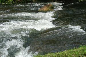 <img300*0:stuff/aj/169023/1254765815.jpg>