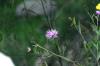 <img100*0:stuff/aj/169023/1254766314.jpg>