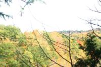 <img200*0:stuff/aj/169023/1254767156.jpg>