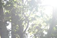 <img200*0:stuff/aj/169023/1254767178.jpg>
