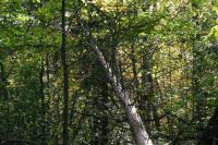 <img200*0:stuff/aj/169023/1254767222.jpg>