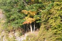 <img200*0:stuff/aj/169023/1254767442.jpg>