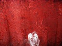 <img200*0:stuff/aj/169023/1255112156.jpg>