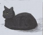 <img150*0:stuff/aj/169023/1255317304.jpg>