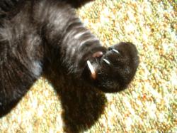 <img250*0:stuff/aj/169023/1255990165.jpg>