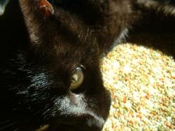 <img250*0:stuff/aj/169023/1255990271.jpg>