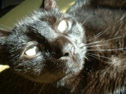 <img250*0:stuff/aj/169023/1255990329.jpg>