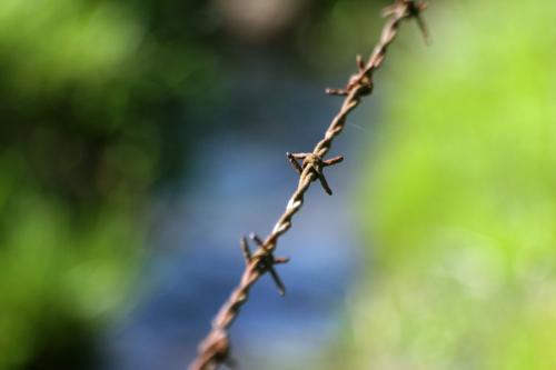<img500*0:stuff/aj/169023/1277141465.jpg>