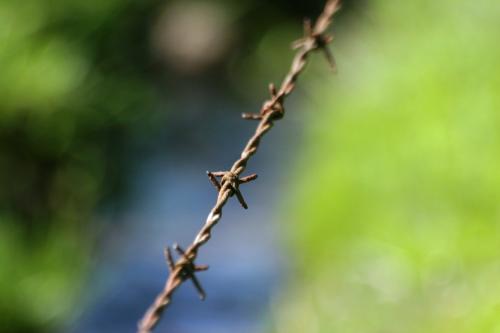 <img500*0:stuff/aj/169023/1277141759.jpg>
