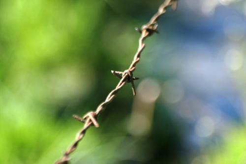 <img500*0:stuff/aj/169023/1277141843.jpg>