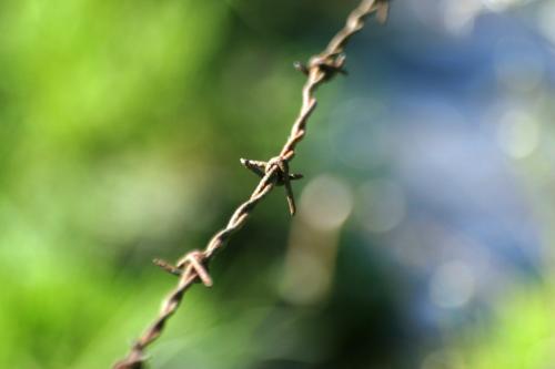 <img500*0:stuff/aj/169023/1277142023.jpg>