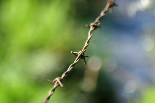 <img500*0:stuff/aj/169023/1277142112.jpg>