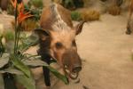 <img0*100:stuff/aj/169023/1281724193.jpg>
