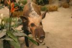 <img0*100:stuff/aj/169023/1281724220.jpg>