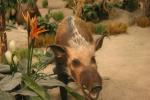 <img0*100:stuff/aj/169023/1281724238.jpg>