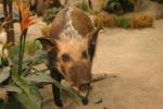 <img0*100:stuff/aj/169023/1281724255.jpg>