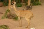 <img0*100:stuff/aj/169023/1281724383.jpg>