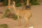 <img0*100:stuff/aj/169023/1281724417.jpg>
