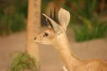 <img0*100:stuff/aj/169023/1281724452.jpg>