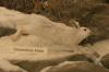 <img100*0:stuff/aj/169023/1281724847.jpg>