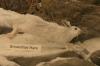 <img100*0:stuff/aj/169023/1281724880.jpg>
