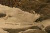 <img100*0:stuff/aj/169023/1281724903.jpg>