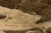 <img100*0:stuff/aj/169023/1281724920.jpg>