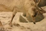 <img0*100:stuff/aj/169023/1281725354.jpg>