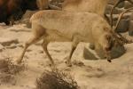 <img0*100:stuff/aj/169023/1281725429.jpg>